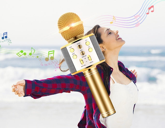 ميكروفون لاسلكي محمول مزود بتقنية البلوتوث وجهاز KTV منزلي صغير لتشغيل الموسيقى ومشغل مكبر صوت للغناء
