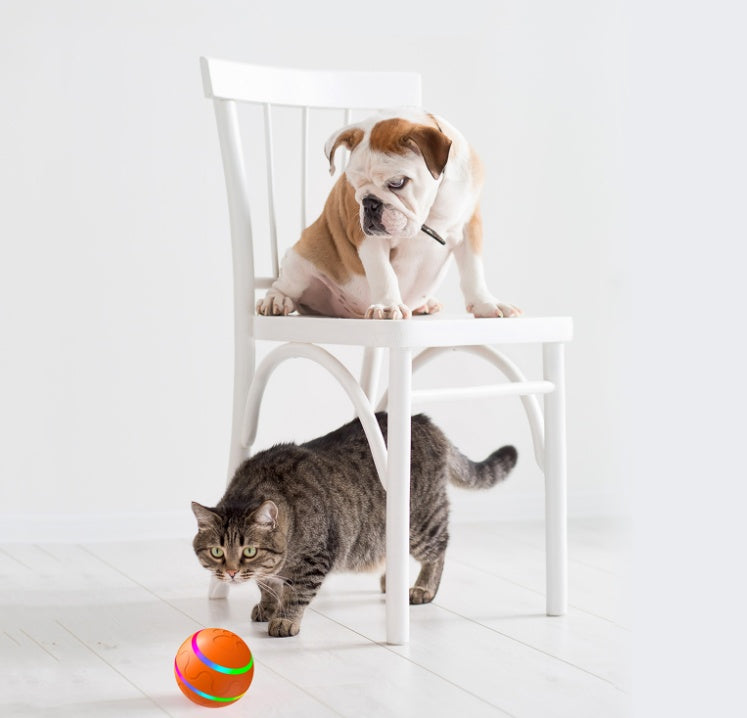 Smart Ball Toy for Cats and Dogs Self-Rotating Rechargeable Ball