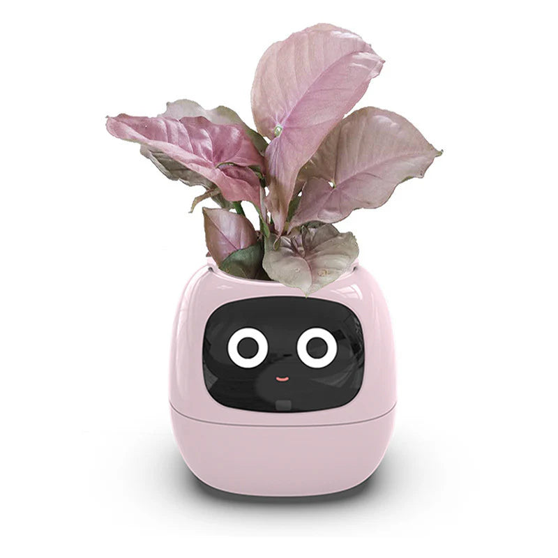 Smart Planter Endless Fun Over 49 Rich Expressions 7 Smart Sensors And AI Chips Make Raising Plants Easy And Fun