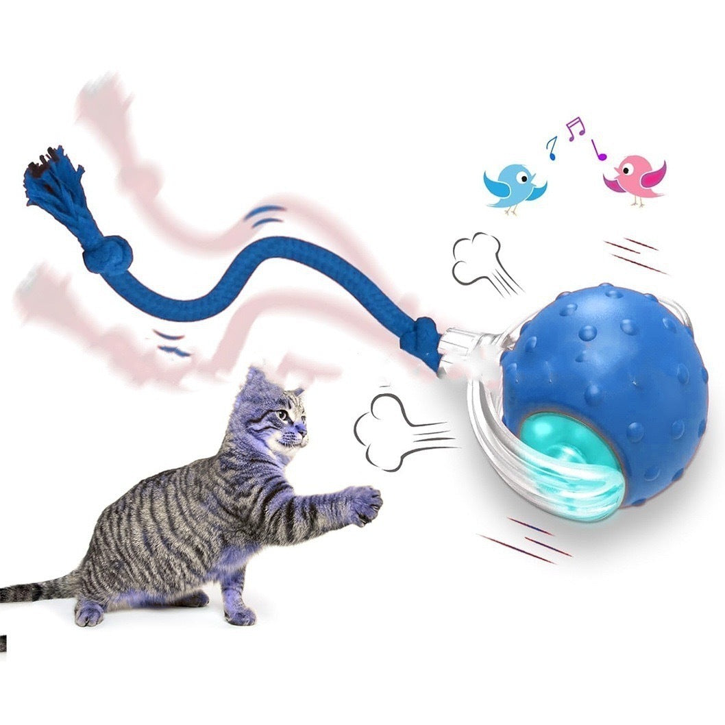 Interactive Cat And Dogs Toy Ball Super Drive Cat Rolling Ball