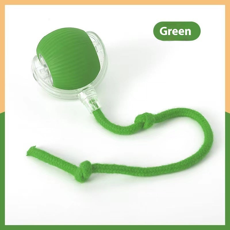 Interactive Cat And Dogs Toy Ball Super Drive Cat Rolling Ball
