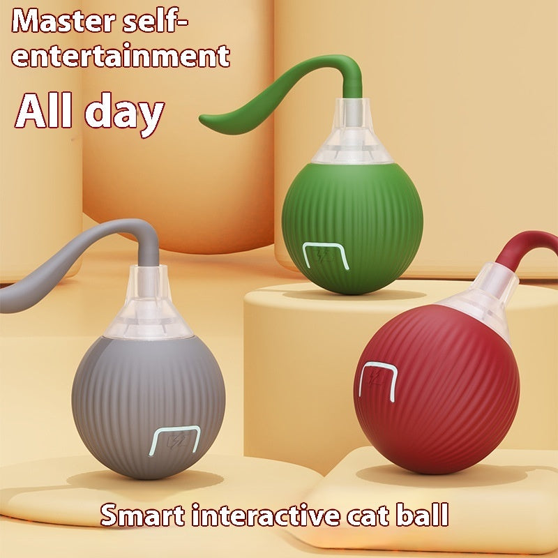 Interactive Cat And Dogs Toy Ball Super Drive Cat Rolling Ball