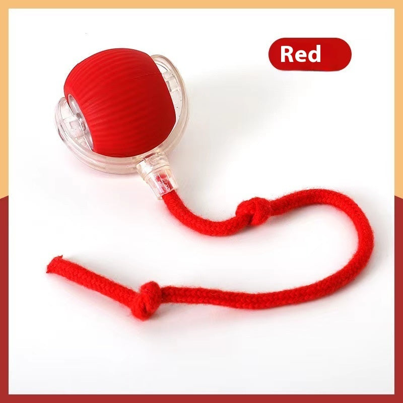 Interactive Cat And Dogs Toy Ball Super Drive Cat Rolling Ball