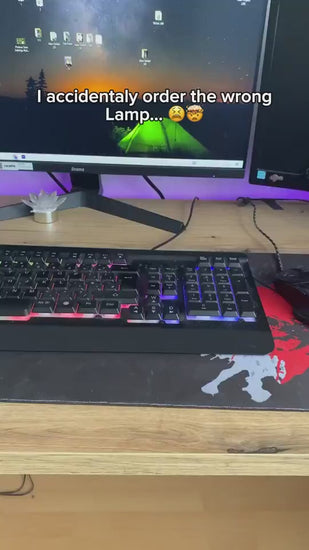 1.mp4