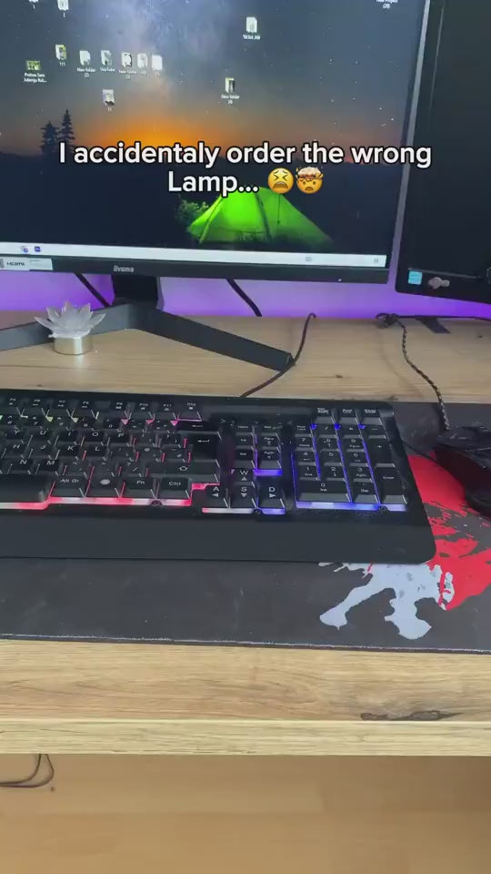 1.mp4